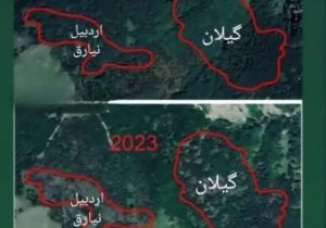 قطع درختان جنگل فندقلوی نمین صحت ندارد / آماده برگزاری تور رسانه‌ای هستیم.