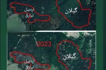 قطع درختان جنگل فندقلوی نمین صحت ندارد / آماده برگزاری تور رسانهای هستیم.